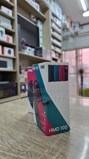 New Nokia 100 Gray