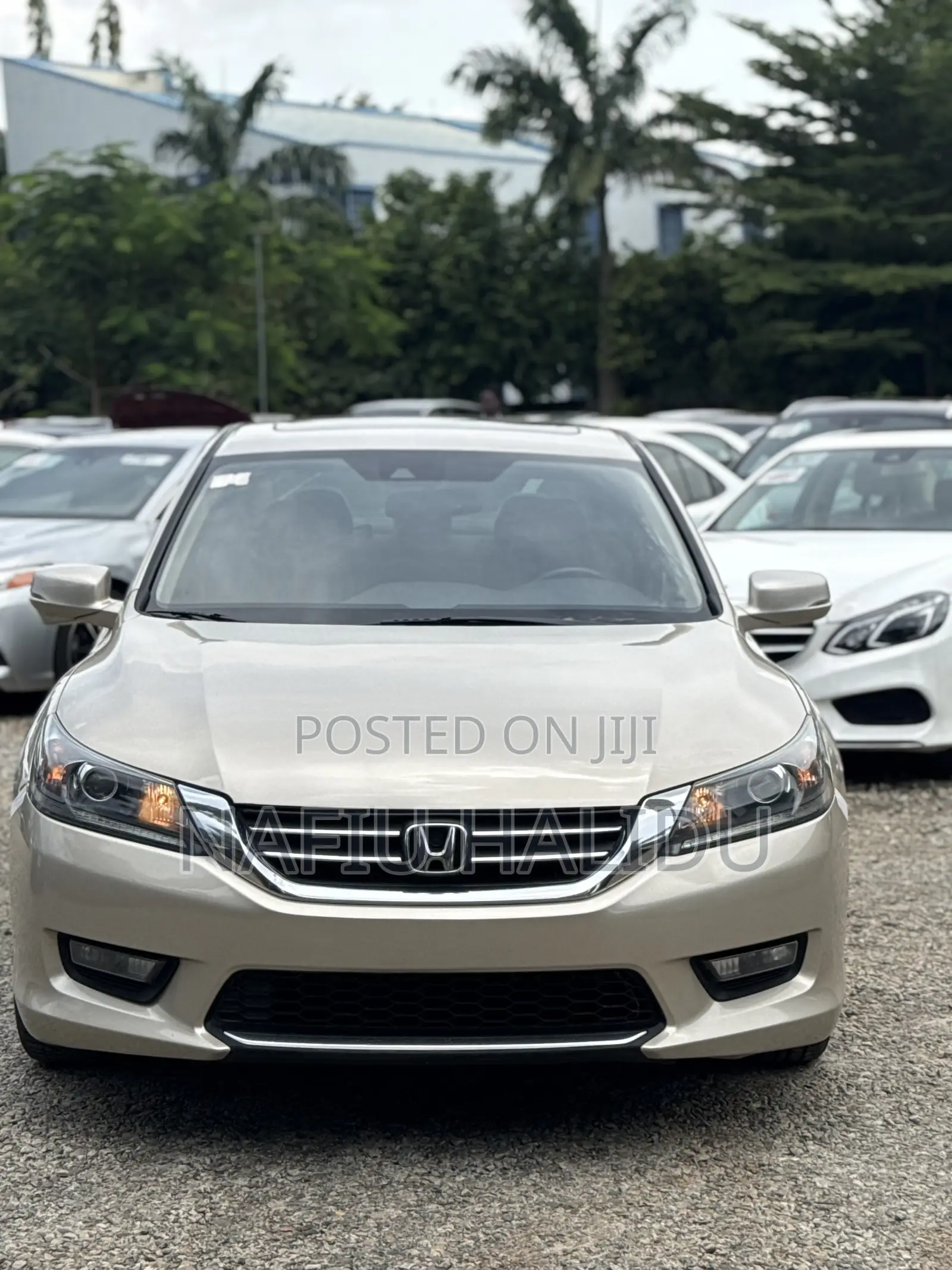 Honda Accord 2014 Gold