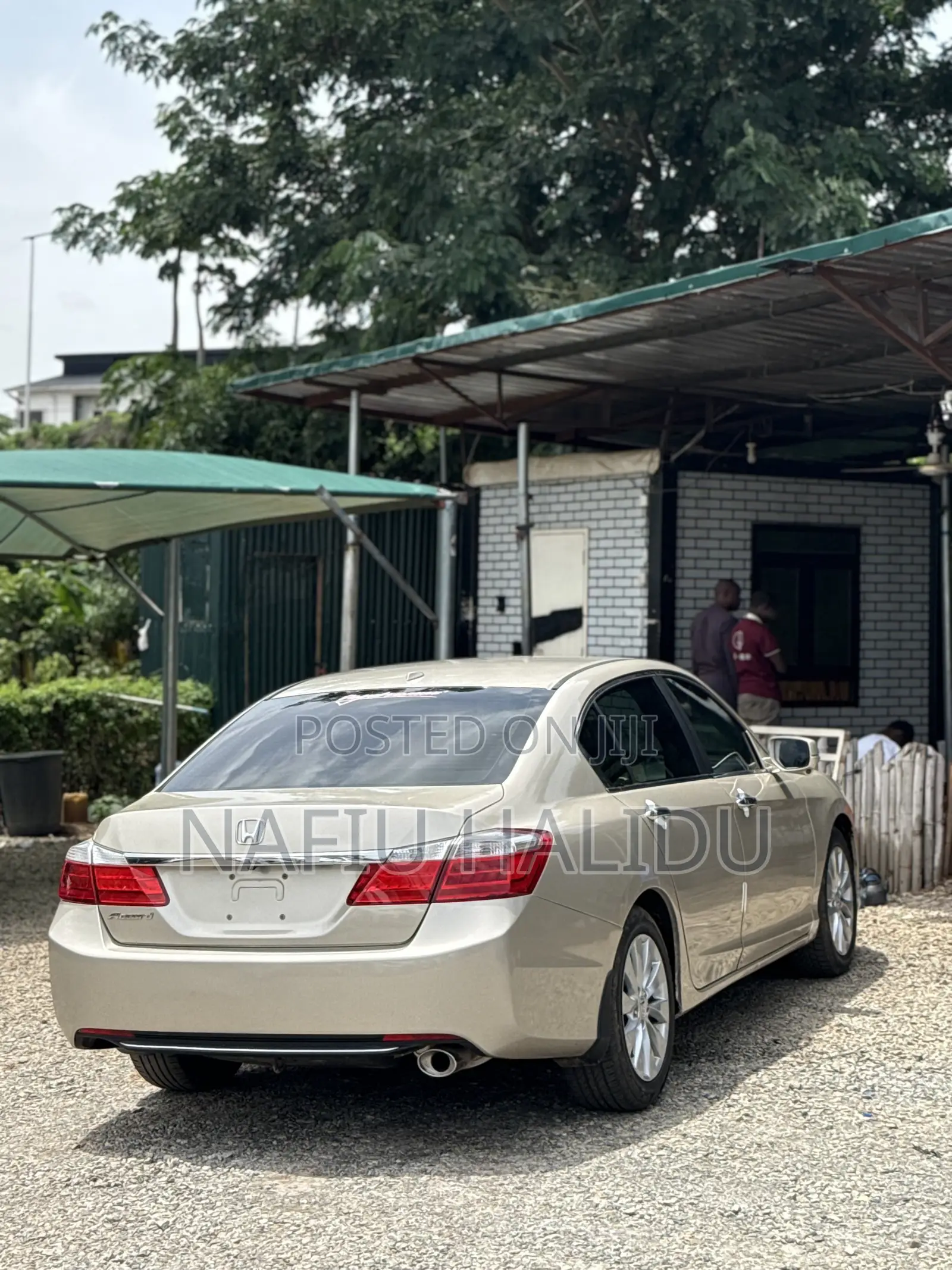 Honda Accord 2014 Gold