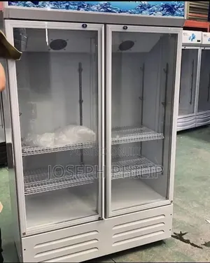 Industrial 2 Door Display Chiller