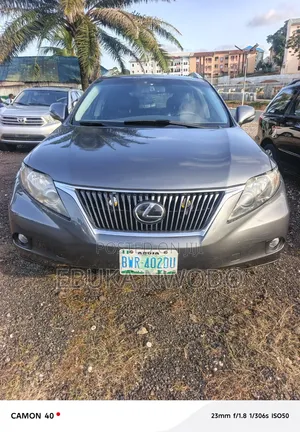 Lexus RX 2013 Gray