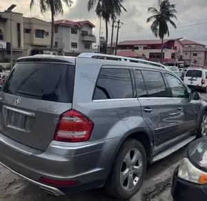 Mercedes-Benz GL-Class GL 450 2008 Gray