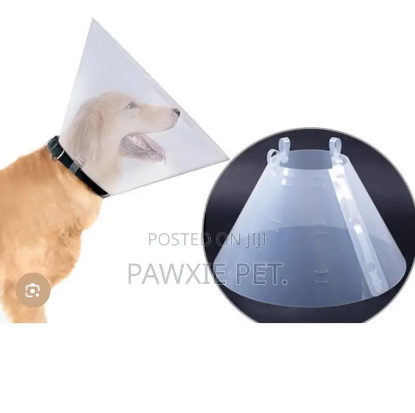 Gs E Collar Size 4 - Collar Depth- 25cm