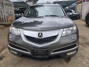Acura MDX 2010 Gray