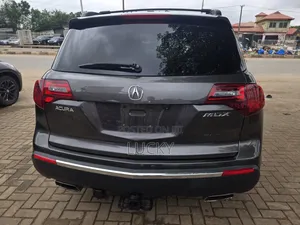 Acura MDX 2010 Gray