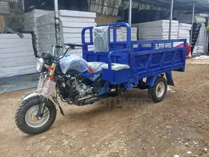 New Tricycle 2026 Blue