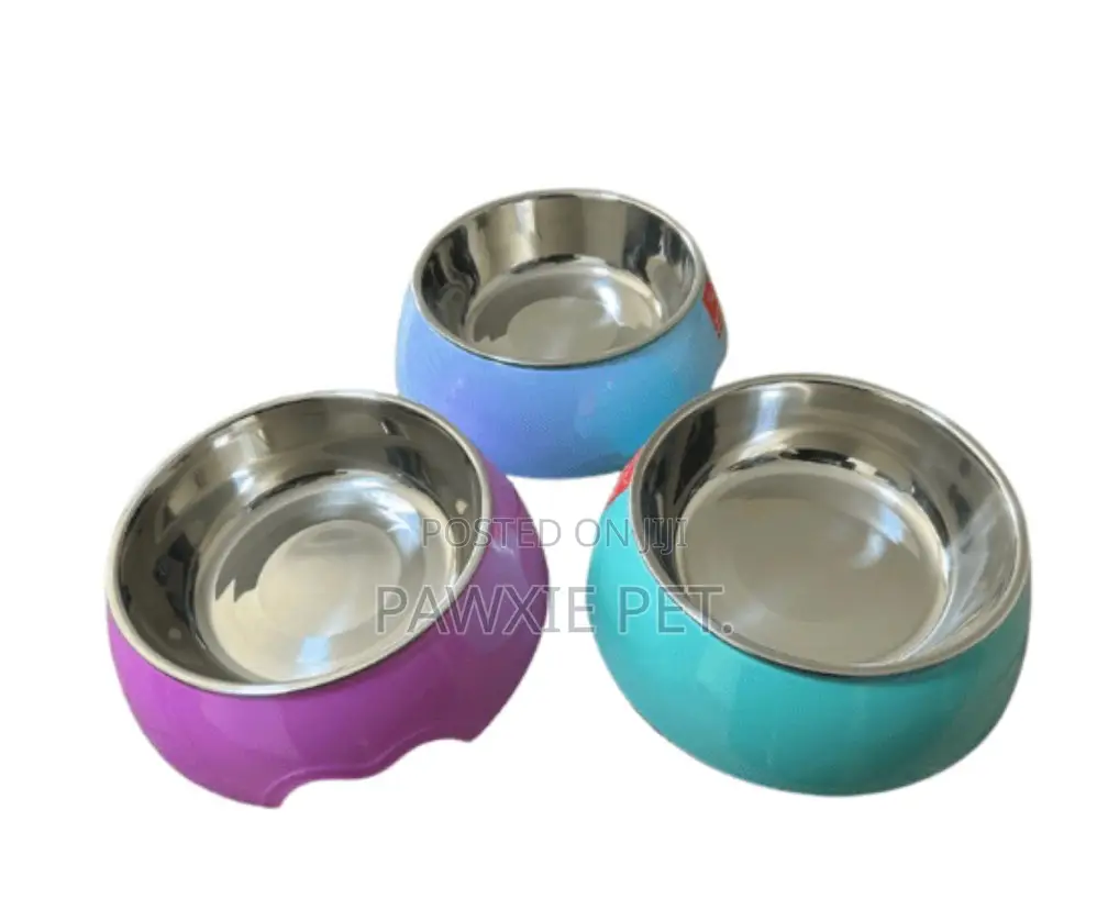 Melamine With Stainless Bowl 22cm