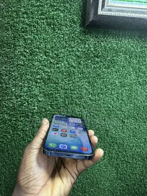 Apple iPhone 13 Pro Max 128 GB Blue