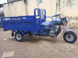 New Tricycle 2026 Blue