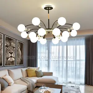 Premium Lighting for Every Home