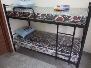 Double Bunk Bed for Schools and Camps