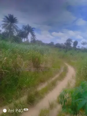 60Plot of Land for Sale
