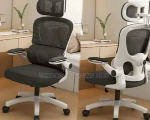 Ergonomic Chair for Executive Offices