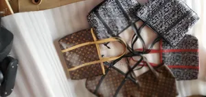 Ladies Spacious Handbags