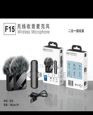 F15 1-to-2 Dual-Portable Microphone
