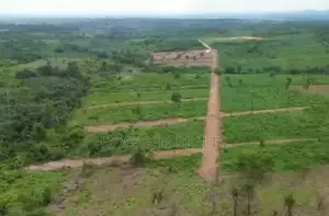 Affordable Land in Emerging Corridor at Ogun State.