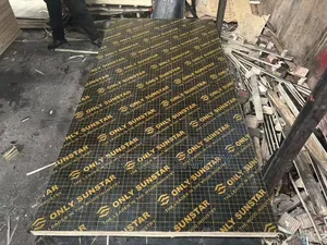 Marine Board 15mm 4ftx8ft and Saw