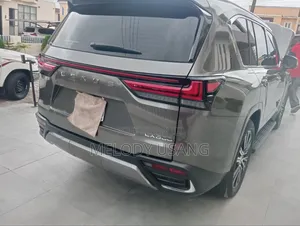Lexus LX 2023 Gray