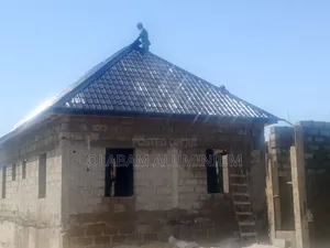 Roofing and Windows