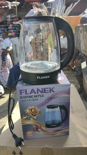 Flanek Electric Kettle