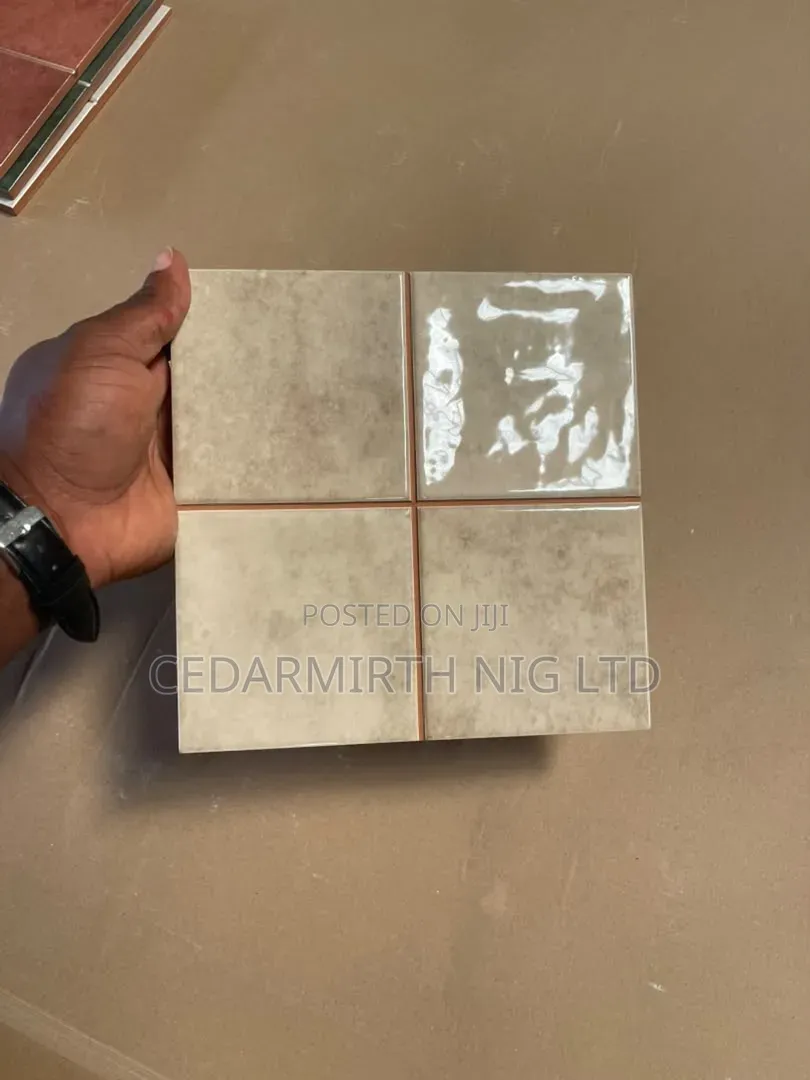 Wall Tile in 20cm X 20cm ( Glossy Finish ).