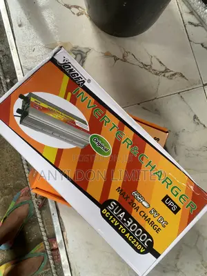 3000w Sachet Inverter With Charger