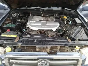 Nissan Pathfinder 2004 Gray