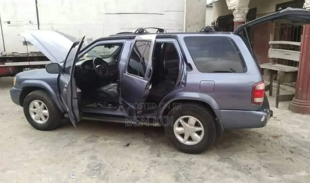 Nissan Pathfinder 2004 Gray