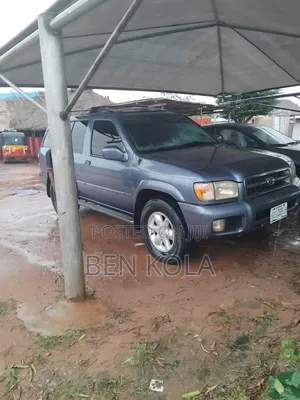Nissan Pathfinder 2004 Gray