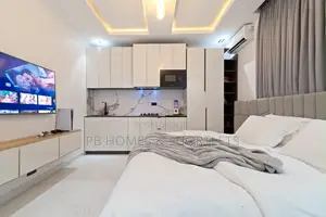 Luxurious Studio Apartment