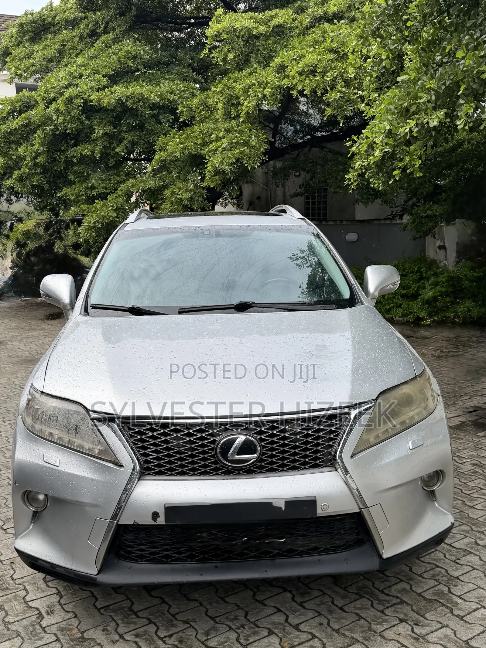 Lexus RX 2013 Silver