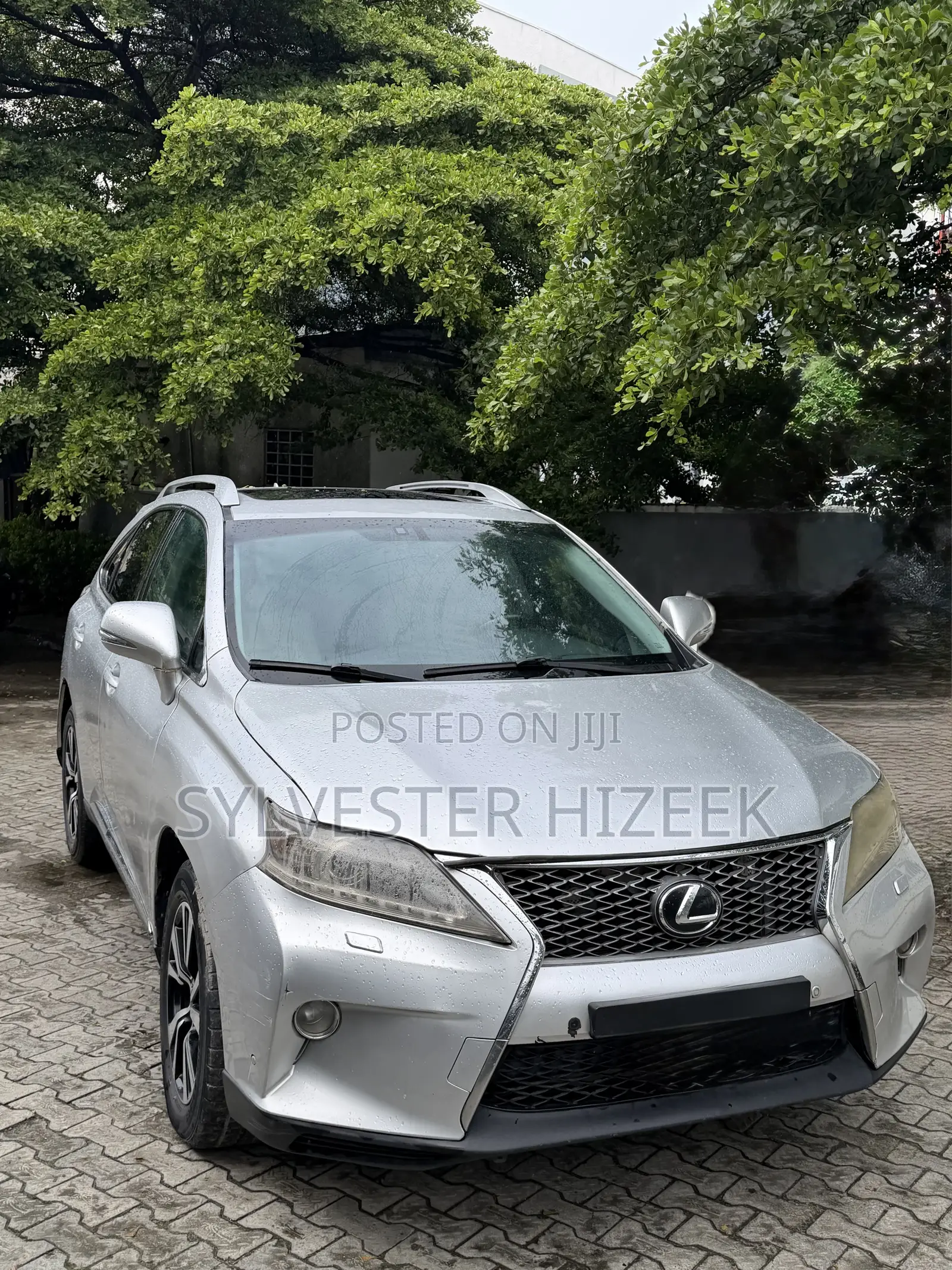 Lexus RX 2013 Silver