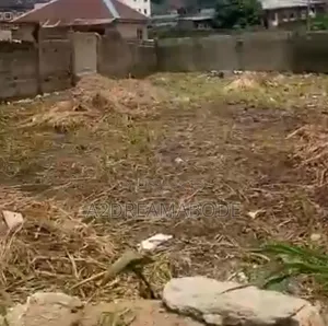 Decently Placed Land