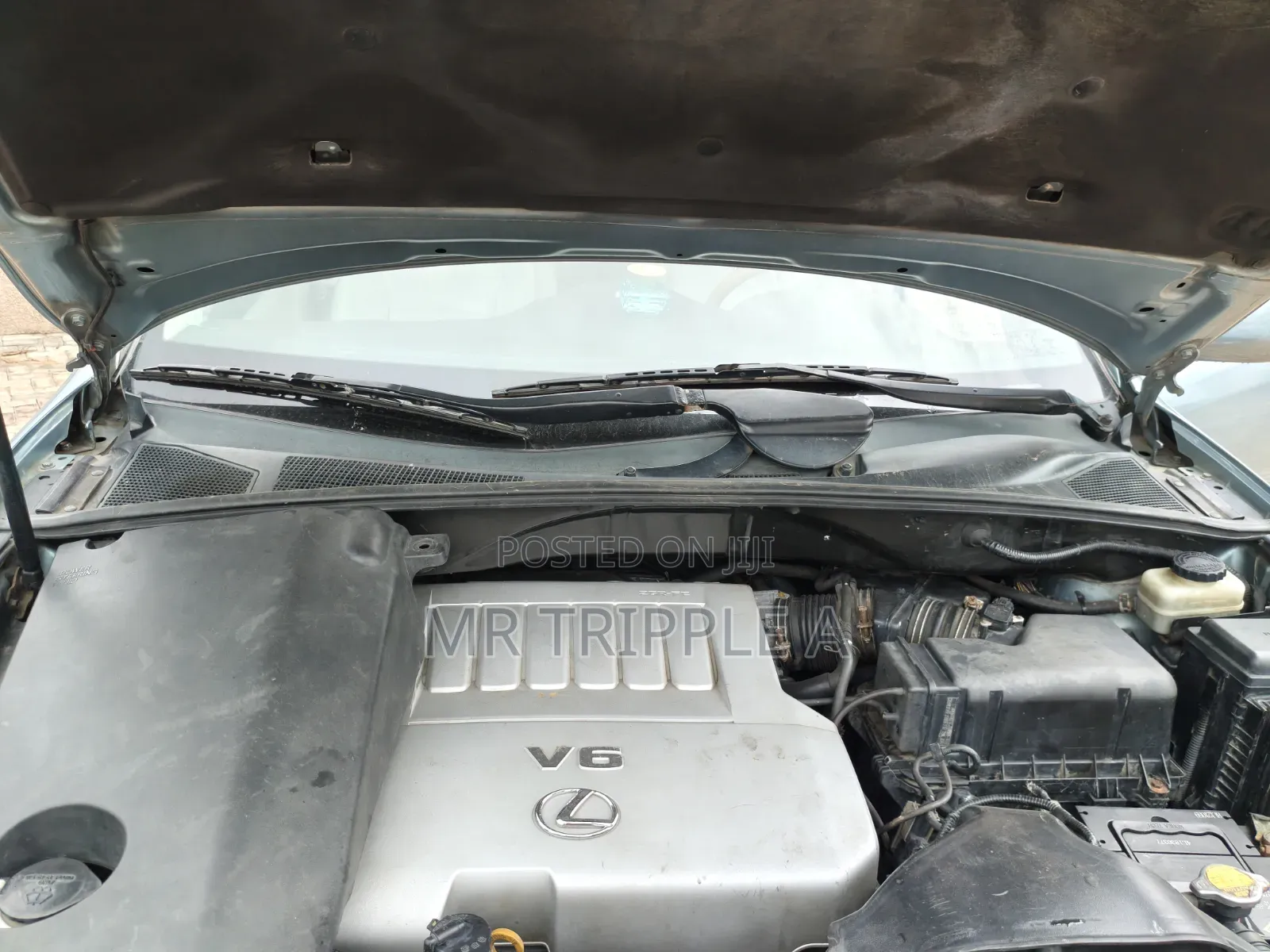 Lexus RX 2008 Blue