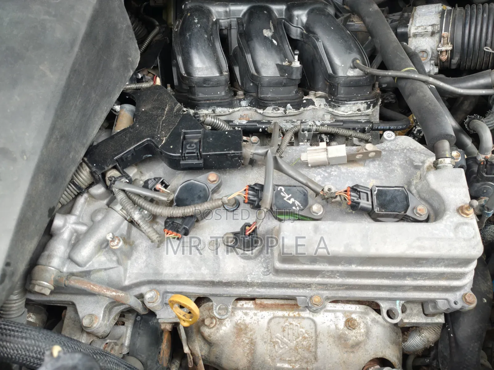 Lexus RX 2008 Blue
