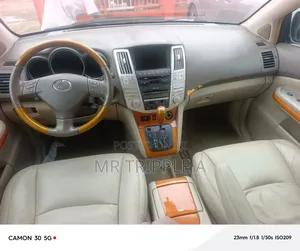 Lexus RX 2009 Blue