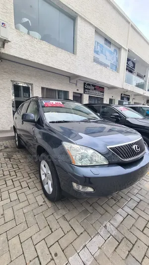 Lexus RX 2005 Gray