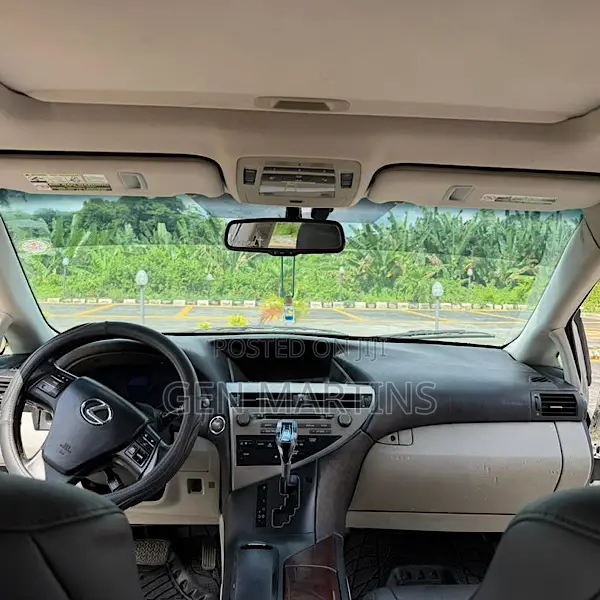 Lexus RX 2010 Silver