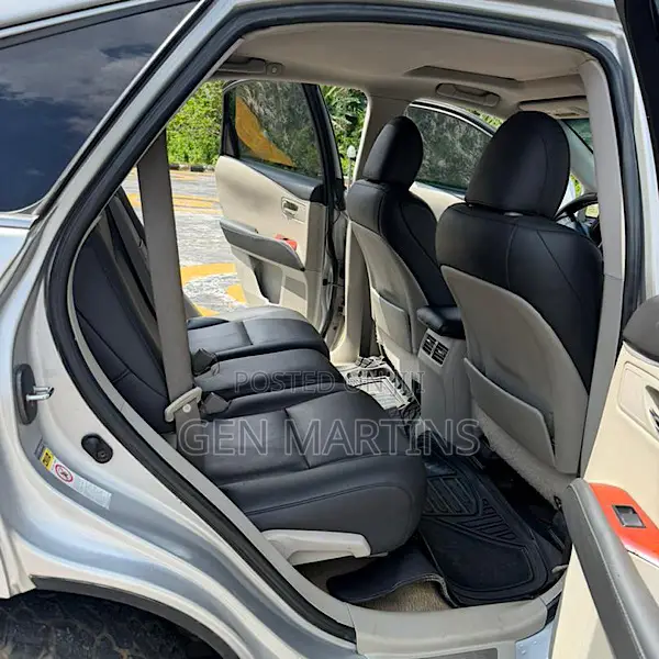 Lexus RX 2010 Silver