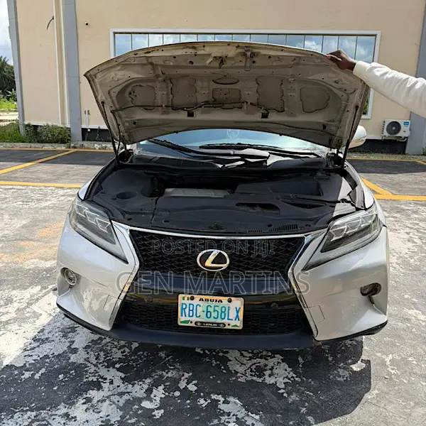 Lexus RX 2010 Silver