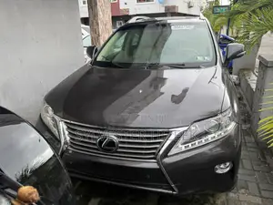 Lexus RX 350 2010 Gray
