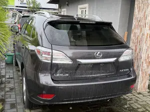Lexus RX 350 2010 Gray