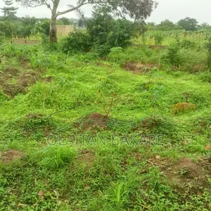 Legit Property