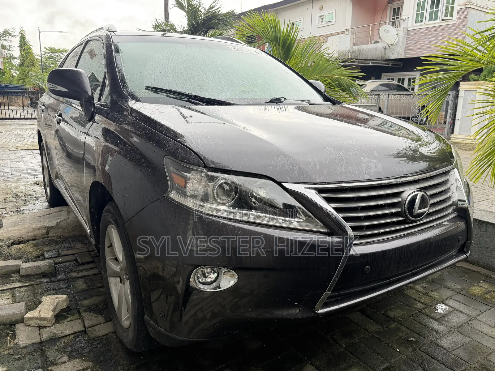 Lexus RX 350 2010 Gray