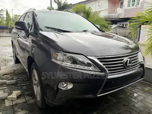 Lexus RX 350 2010 Gray