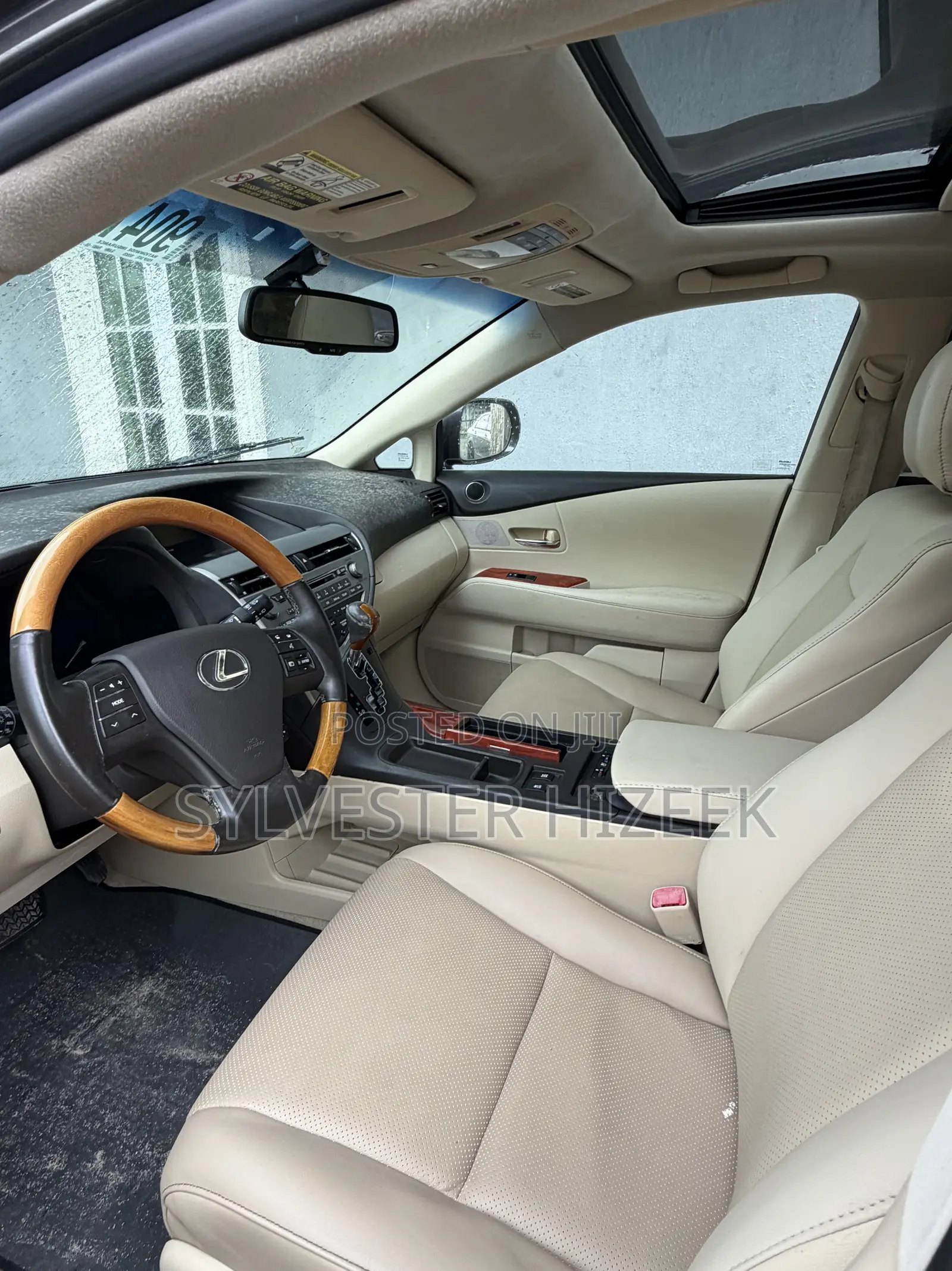 Lexus RX 350 2010 Gray