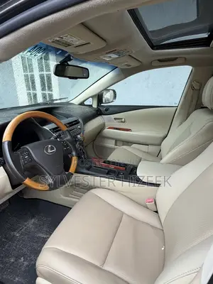 Lexus RX 350 2010 Gray