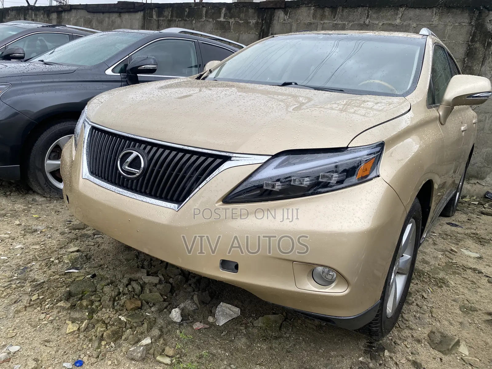 Lexus RX 350 2010 Gold