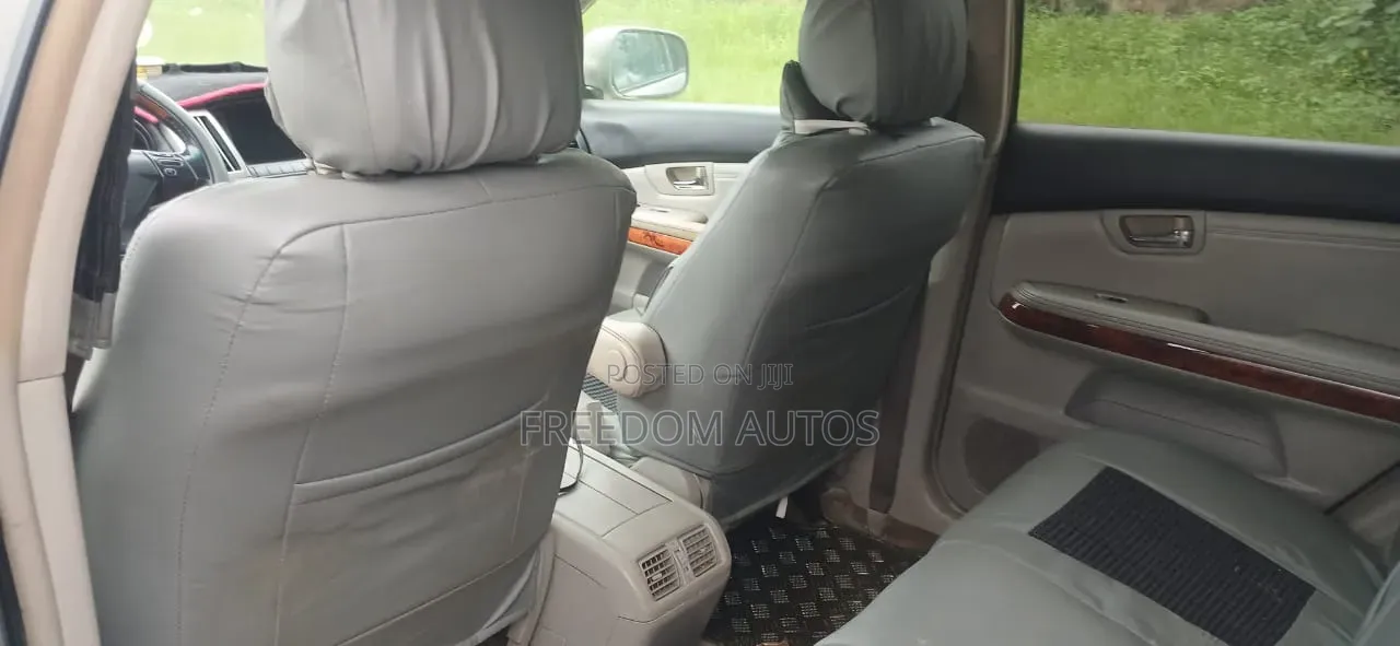 Lexus RX 2010 Silver