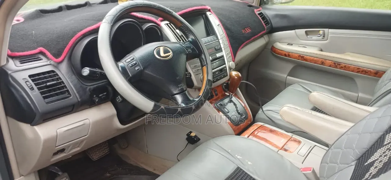 Lexus RX 2010 Silver